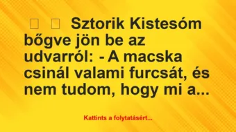 Vicces történet: 
	    	    Sztorik


Kistesóm bőgve jön be az udvarról:


– …