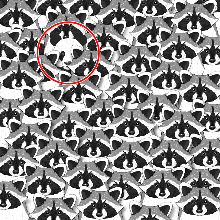 rejtveny-fejtoro-panda | Marie Claire A megoldás