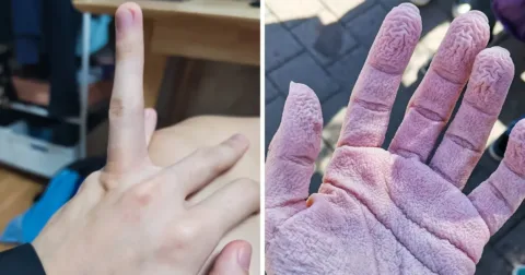 20+ kép, ami csak az első néhány másodpercben tűnik hétköznapinak 20+ képek, melyeknek titkai csak második pillantással tárulnak fel