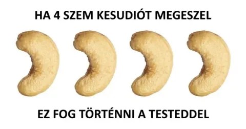 Mi történik a testeddel, ha napi 4 szem kesudiót megeszel A napi 4 kesudió varázsa: meglepő hatások a testeden