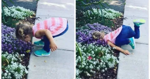 19 fotó, ami bizonyítja, hogy a gyerekek könnyen kalandot adnak 19 kép, ami alátámasztja: a gyerekeket veled indít, minden nap egy kaland