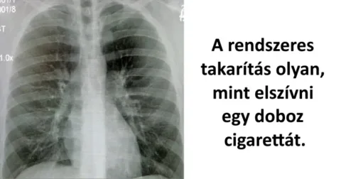 8 sziklaszilárd érv a túl gyakori takarítás ellen A túl gyakori takarítás 8 potenciális veszélye