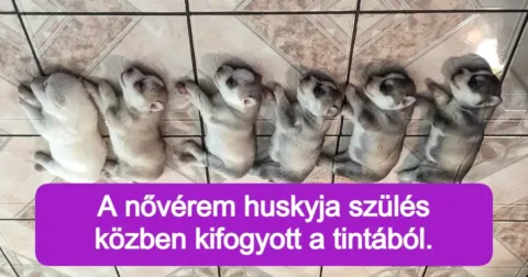 15+ kép, amelyek hozzáadnak egy kis boldogságot a napodhoz