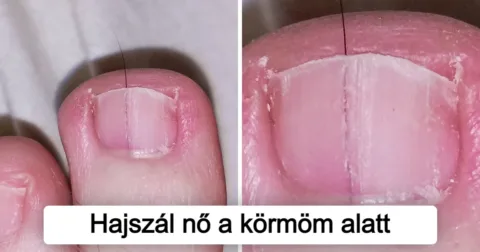 20 alkalom, amikor a természet valami szokatlant adott nekünk, hogy... A természet titokzatos ajándékai: 20 meglepő jelenség