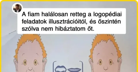 20 eset, amikor “mesterségbeli” hibákat vétettek munkában