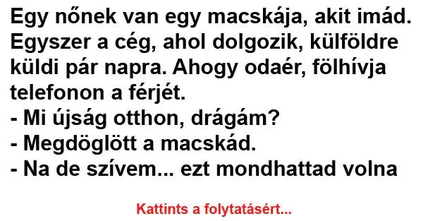Egy nőnek van egy macskája, akit imád Egy nőnek van egy macskája, akit imád