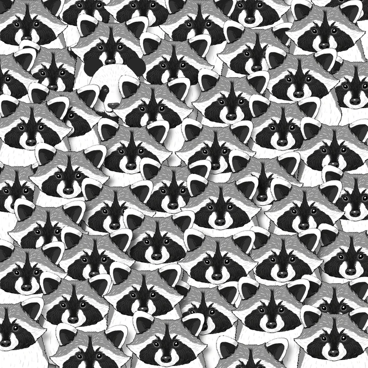 rejtveny-fejtoro-panda | Marie Claire Eszesebb vagy, mint az átlag, ha kideríted, hogy hol rejtőzik a panda