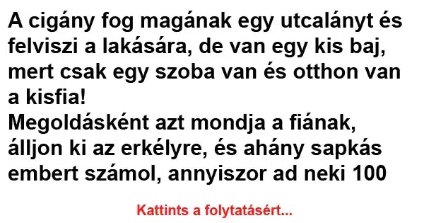 Vicc: A cigány fog magának egy utcalányt és felviszi a Vicc: A cigány fog magának egy utcalányt és felviszi a lakására