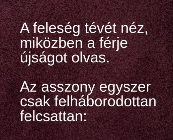 Vicc: A feleség tévénézés közben egyszer csak felháborodottan...