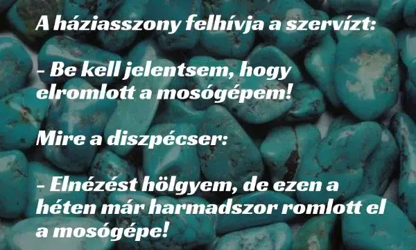 Vicc: A háziasszony felhívja a szervízt: Be kell jelentsem, hogy