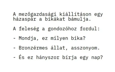 Vicc: A mezőgazdasági kiállításon egy házaspár a bikákat bámulja. A... Vicc: A mezőgazdasági kiállításon egy házaspár a bikákat bámulja. A…