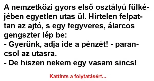 Vicc: A nemzetközi gyors első osztályú fülkéjében egyetlen utas ül Vicc: A nemzetközi gyors első osztályú fülkéjében egyetlen utas ül