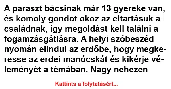 Vicc: A paraszt bácsinak már 13 gyereke van Vicc: A paraszt bácsinak már 13 gyereke van