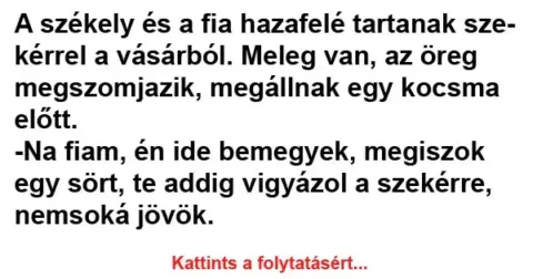 Vicc: A székely és a fia hazafelé tartanak szekérrel a vásárból