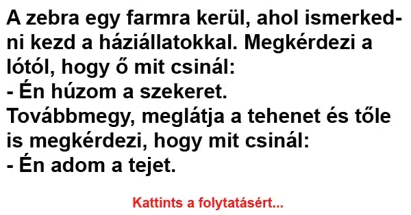 Vicc: A zebra egy farmra kerül Vicc: A zebra egy farmra kerül