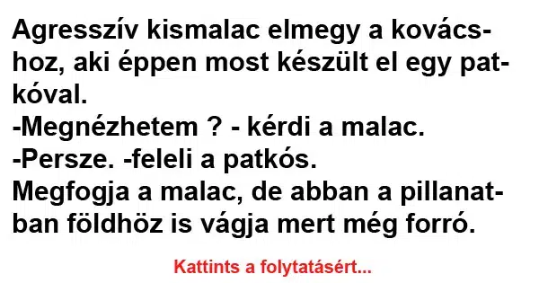 Vicc: Agresszív kismalac elmegy a kovácshoz Vicc: Agresszív kismalac elmegy a kovácshoz