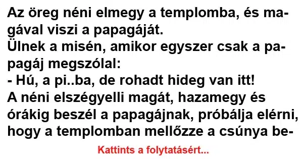 Vicc: Az öreg néni elmegy a templomba, és magával viszi Vicc: Az öreg néni elmegy a templomba, és magával viszi a papagáját