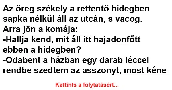 Vicc: Az öreg székely a rettentő hidegben sapka nélkül áll Vicc: Az öreg székely a rettentő hidegben sapka nélkül áll az utcán
