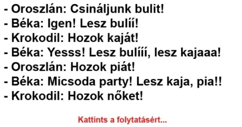 Vicc: Csináljunk bulit!