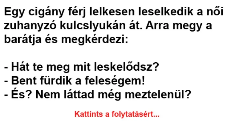 Vicc: Egy cigány férj lelkesen leselkedik a női zuhanyzó kulcslyukán Vicc: Egy cigány férj lelkesen leselkedik a női zuhanyzó kulcslyukán át