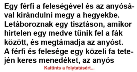 Vicc: Egy férfi a feleségével és az anyósával kirándulni megy a…