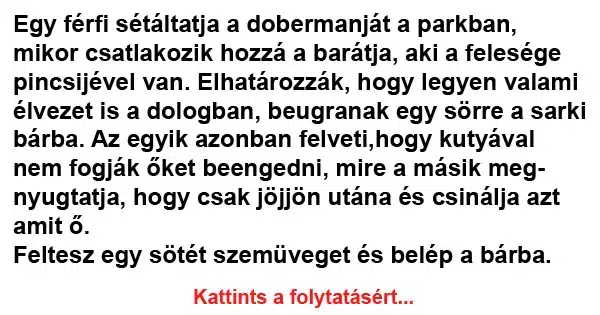 Vicc: Egy férfi sétáltatja a dobermannját a parkban Vicc: Egy férfi sétáltatja a dobermannját a parkban