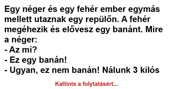 Vicc: Egy néger és egy fehér ember egymás mellett utaznak Vicc: Egy néger és egy fehér ember egymás mellett utaznak egy repülőn