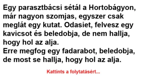 Vicc: Egy parasztbácsi sétál a Hortobágyon