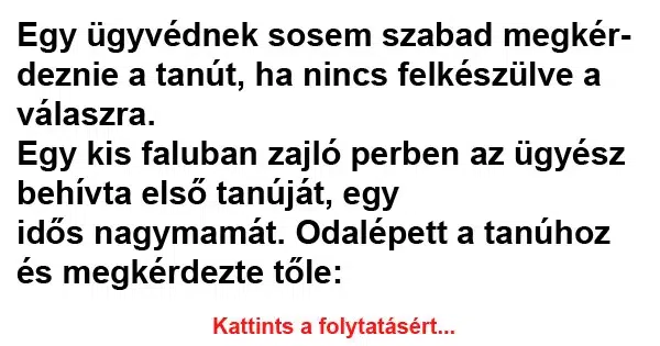 Vicc: Egy ügyvédnek sosem szabad megkérdeznie Vicc: Egy ügyvédnek sosem szabad megkérdeznie