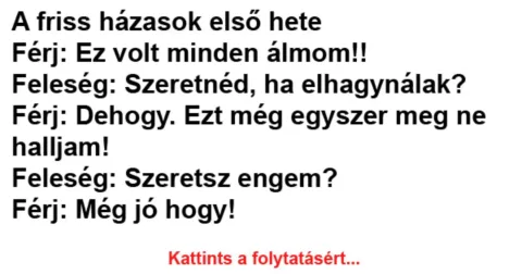 Vicc: Feleség: Szeretnéd, ha elhagynálak?