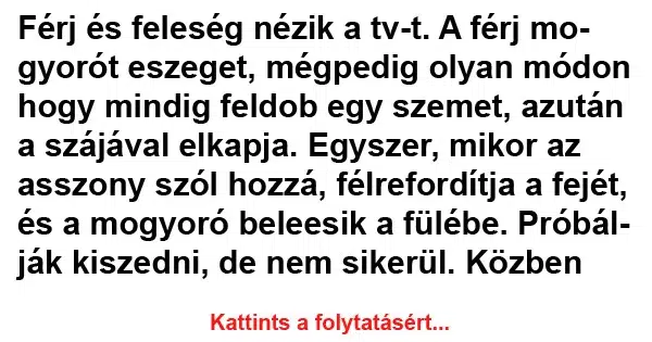 Vicc: Férj és feleség nézik a tv-t Vicc: Férj és feleség nézik a tv-t