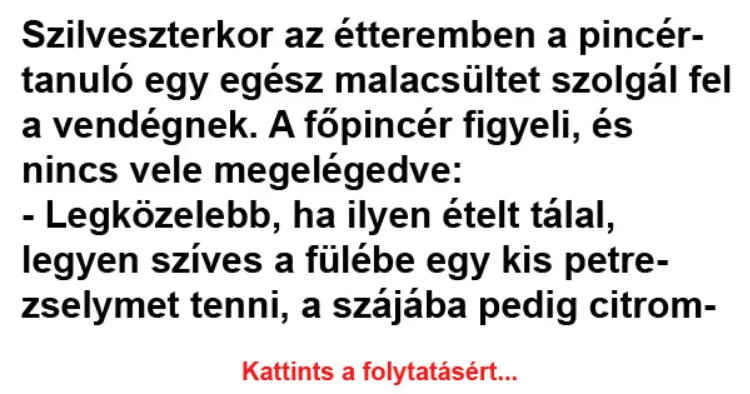 Vicc: Szilveszterkor az étteremben a pincértanuló egy egész malacsültet Vicc: Szilveszterkor az étteremben a pincértanuló egy egész malacsültet