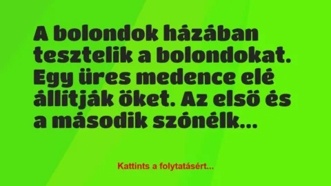 Vicc: A bolondok házában tesztelik a bolondokat. Egy üres medence elé…