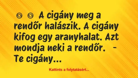 Vicc: 
	    	    A cigány meg a rendőr halászik. A cigány kifog egy…