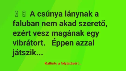 Vicc: 
	    	    A csúnya lánynak a faluban nem akad szerető, ezért vesz…