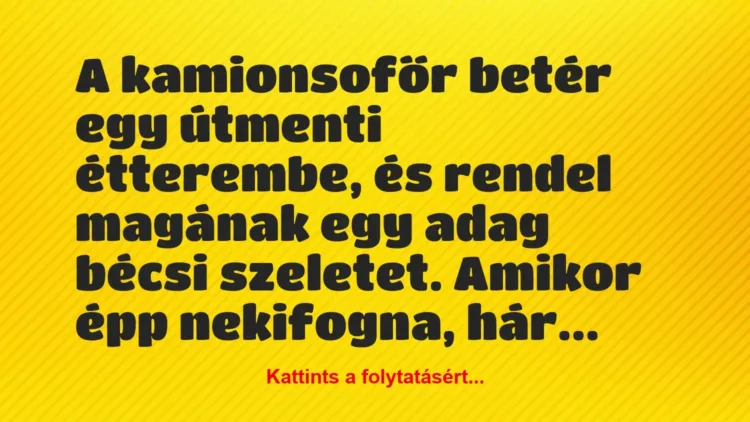 Vicc: A kamionsofőr betér egy útmenti étterembe, és rendel magának egy adag… Vicc: A kamionsofőr betér egy útmenti étterembe, és rendel magának egy adag…