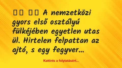 Vicc: 
		  
		  A nemzetközi gyors első osztályú fülkéjében…