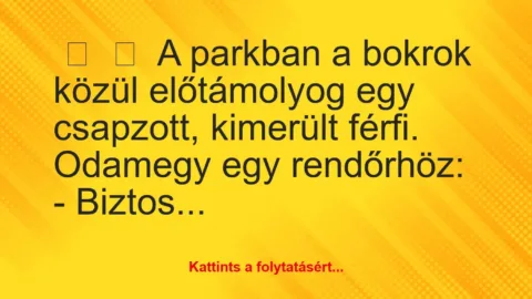 Vicc: 
	    	    A parkban a bokrok közül előtámolyog egy csapzott, kimerült…