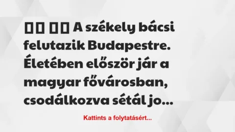 Vicc: 
		  
		  A székely bácsi felutazik Budapestre. Életében…
