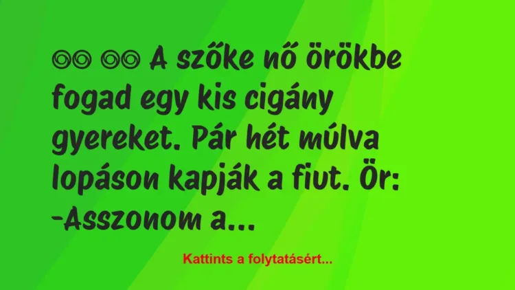 Vicc:
A szőke nő örökbe fogad egy kis cigány gyereket. … Vicc:
A szőke nő örökbe fogad egy kis cigány gyereket. …