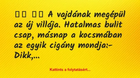 Vicc: 
		  
		  A vajdának megépül az új villája. Hatalmas bulit …