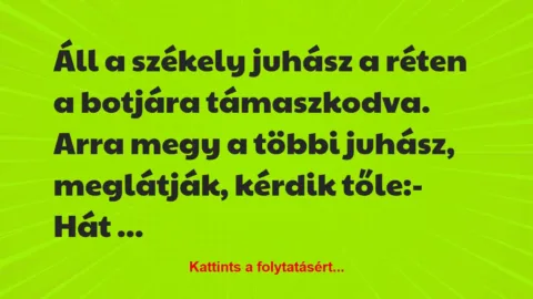Vicc: Áll a székely juhász a réten a botjára támaszkodva. Arra megy a többi…
