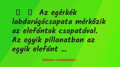 Vicc: 
	    	    Az egérkék labdarúgócsapata mérkőzik az elefántok…