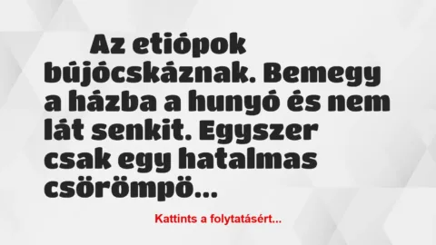 Vicc: 
		  
		  Az etiópok bújócskáznak. Bemegy a házba a hunyó…