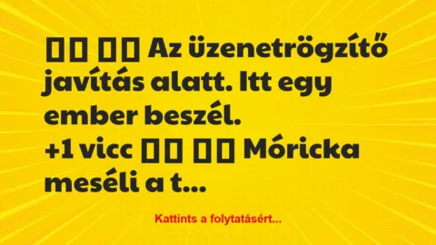 Vicc: 
		  
		  Az üzenetrögzítő javítás alatt. Itt egy ember…