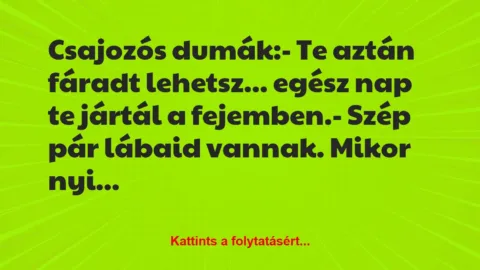 Vicc: Csajozós dumák:

– Te aztán fáradt lehetsz… egész nap te jártál…