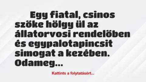 Vicc: 
		  
		  Egy fiatal, csinos szőke hölgy ül az állatorvosi …