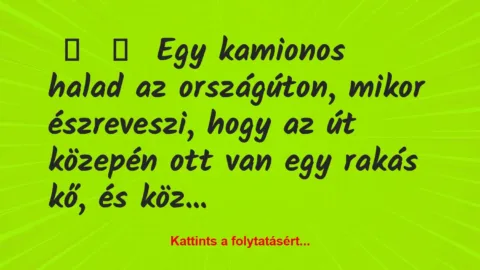 Vicc: 
	    	    Egy kamionos halad az országúton, mikor észreveszi, hogy az…