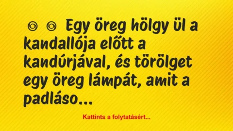 Vicc: 
	    	    Egy öreg hölgy ül a kandallója előtt a kandúrjával, és…