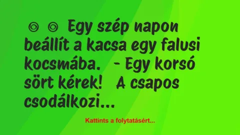 Vicc: 
	    	    Egy szép napon beállít a kacsa egy falusi…